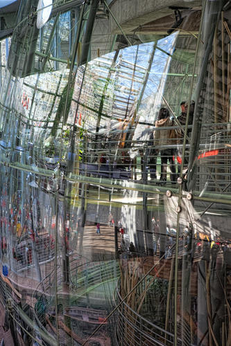 California Academy of Sciences, interior reflections